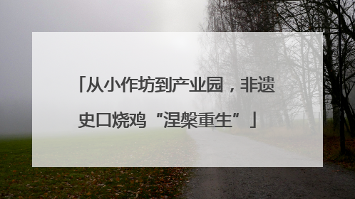 从小作坊到产业园，非遗史口烧鸡“涅槃重生”