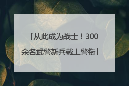 从此成为战士！300余名武警新兵戴上警衔