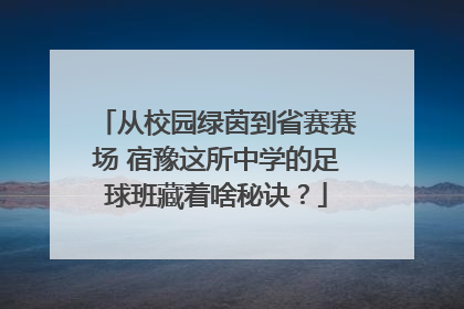 从校园绿茵到省赛赛场 宿豫这所中学的足球班藏着啥秘诀？