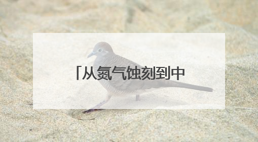 从氮气蚀刻到中欧班列：解密美光芯片的全球竞争力西安密码