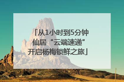 从1小时到5分钟 仙居“云端速递”开启杨梅锁鲜之旅