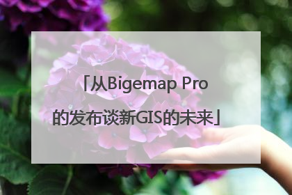 从Bigemap Pro的发布谈新GIS的未来