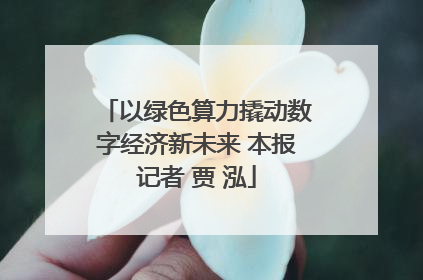 以绿色算力撬动数字经济新未来 本报记者 贾 泓