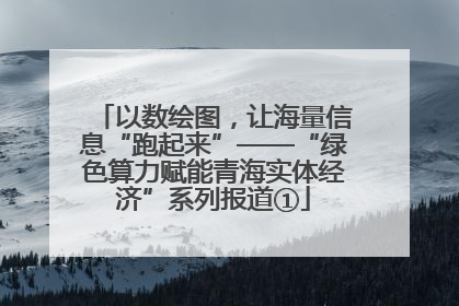 以数绘图，让海量信息“跑起来”——“绿色算力赋能青海实体经济”系列报道①