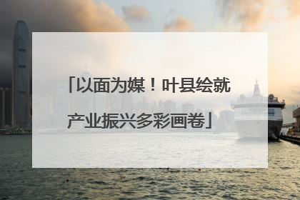 以面为媒！叶县绘就产业振兴多彩画卷