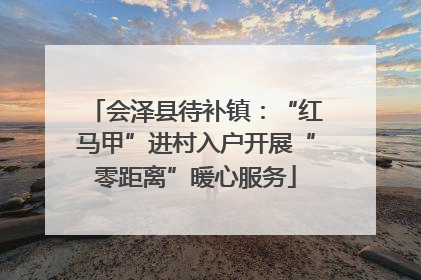 会泽县待补镇：“红马甲”进村入户开展“零距离”暖心服务