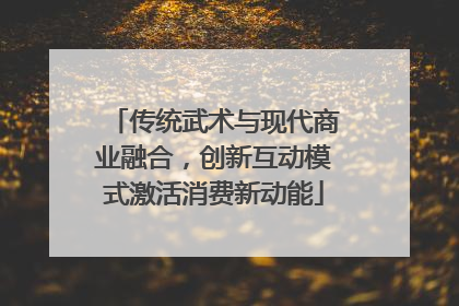 传统武术与现代商业融合，创新互动模式激活消费新动能