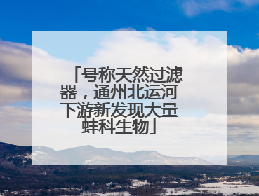 号称天然过滤器，通州北运河下游新发现大量蚌科生物