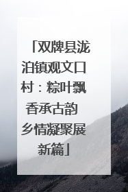 双牌县泷泊镇观文口村：粽叶飘香承古韵 乡情凝聚展新篇