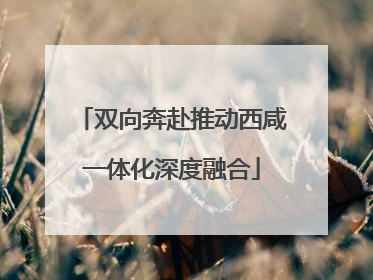 双向奔赴推动西咸一体化深度融合