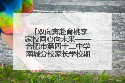 双向奔赴育桃李 家校同心向未来——合肥市第四十二中学南城分校家长学校期末总结会圆满召开