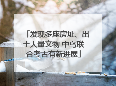发现多座房址、出土大量文物 中乌联合考古有新进展