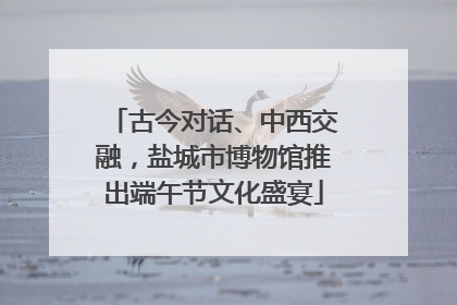 古今对话、中西交融，盐城市博物馆推出端午节文化盛宴