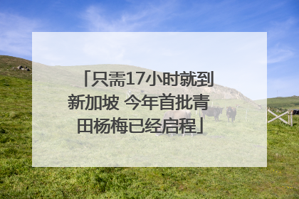 只需17小时就到新加坡 今年首批青田杨梅已经启程