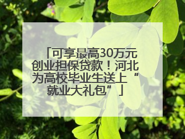 可享最高30万元创业担保贷款！河北为高校毕业生送上“就业大礼包”