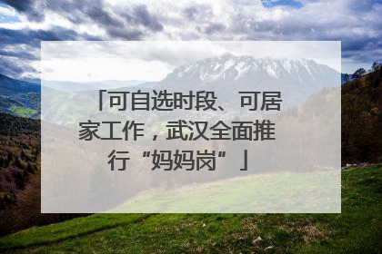 可自选时段、可居家工作，武汉全面推行“妈妈岗”