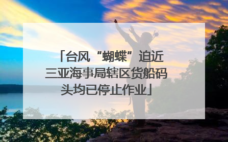 台风“蝴蝶”迫近 三亚海事局辖区货船码头均已停止作业
