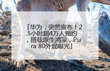 华为，突然宣布！2.5小时超4万人预约，搭载原生鸿蒙，Pura 80外观曝光