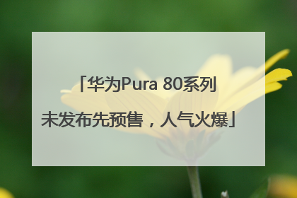华为Pura 80系列未发布先预售，人气火爆