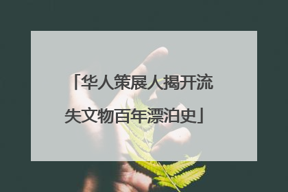 华人策展人揭开流失文物百年漂泊史