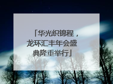 华光织锦程，龙环汇丰年会盛典隆重举行