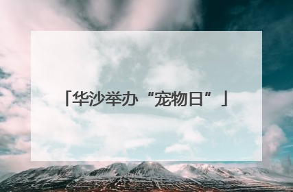 华沙举办“宠物日”