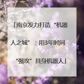 南京发力打造“机器人之城”：用3年时间“强攻”具身机器人