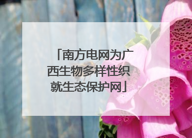 南方电网为广西生物多样性织就生态保护网