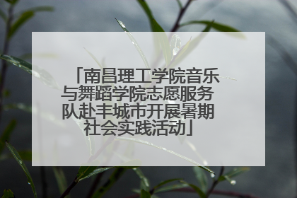 南昌理工学院音乐与舞蹈学院志愿服务队赴丰城市开展暑期社会实践活动