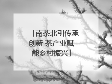 南茶北引传承创新 茶产业赋能乡村振兴
