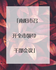 南阳市召开全市领导干部会议