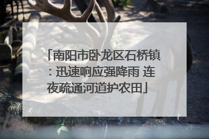 南阳市卧龙区石桥镇：迅速响应强降雨 连夜疏通河道护农田