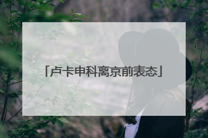 卢卡申科离京前表态