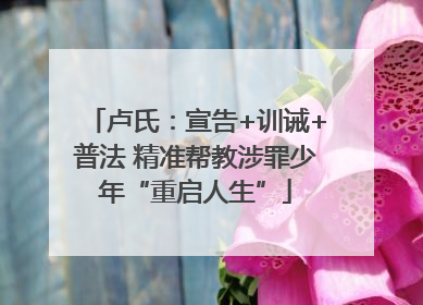 卢氏：宣告+训诫+普法 精准帮教涉罪少年“重启人生”