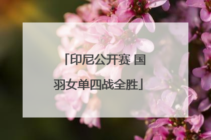 印尼公开赛 国羽女单四战全胜