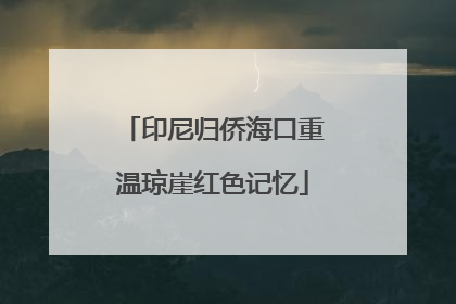 印尼归侨海口重温琼崖红色记忆