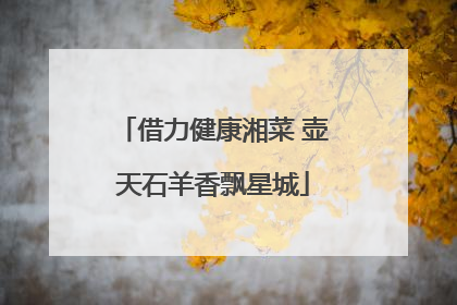 借力健康湘菜 壶天石羊香飘星城