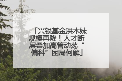 兴银基金洪木妹规模再降！人才断层叠加高管动荡“偏科”困局何解