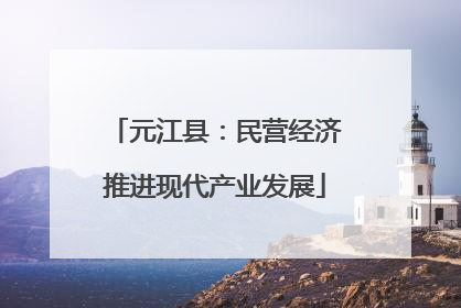 元江县：民营经济推进现代产业发展