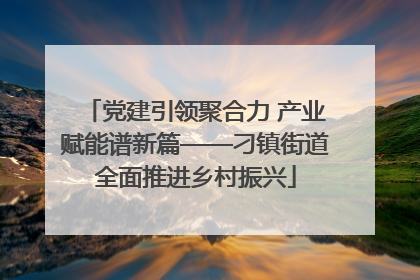 党建引领聚合力 产业赋能谱新篇——刁镇街道全面推进乡村振兴