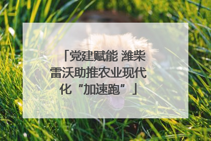 党建赋能 潍柴雷沃助推农业现代化“加速跑”