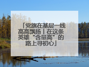 党旗在基层一线高高飘扬丨在这条英雄“含量高”的路上寻初心
