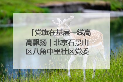 党旗在基层一线高高飘扬｜北京石景山区八角中里社区党委：用脚步丈量民生