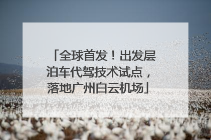 全球首发！出发层泊车代驾技术试点，落地广州白云机场