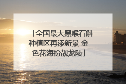 全国最大黑喉石斛种植区再添新景 金色花海扮靓龙陵