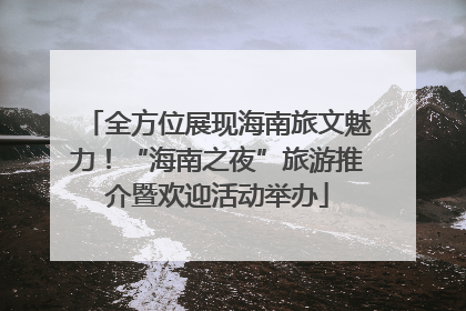 全方位展现海南旅文魅力！“海南之夜”旅游推介暨欢迎活动举办