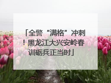 全警“满格”冲刺！黑龙江大兴安岭春训砺兵正当时