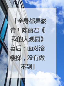 全身都是淤青！陈丽君《我的大观园》幕后：面对滚楼梯，没有做不到