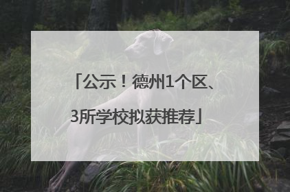 公示！德州1个区、3所学校拟获推荐