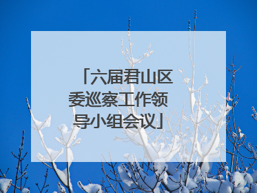 六届君山区委巡察工作领导小组会议